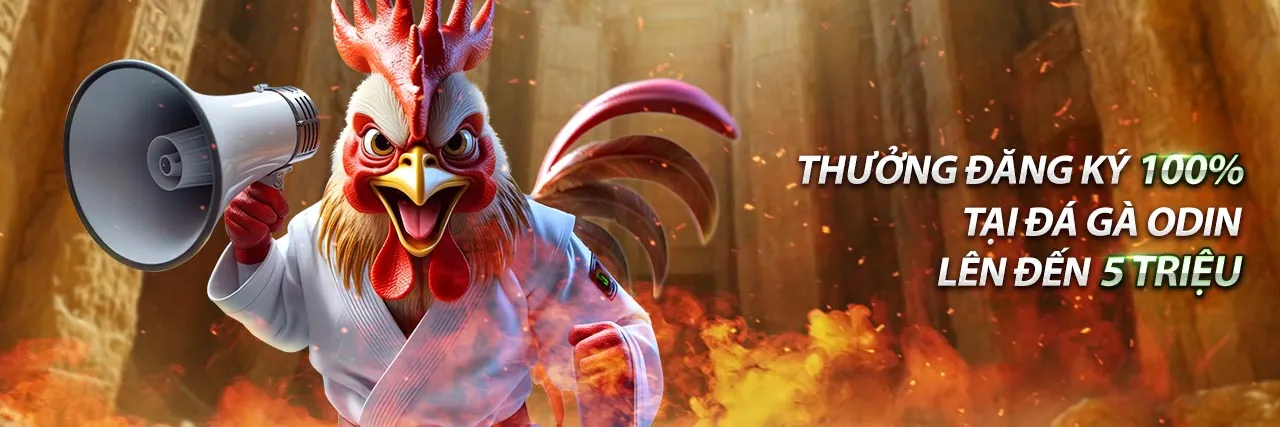 Hình ảnh tổng hợp các giải đấu thể thao hàng đầu thế giới tại hi88 link